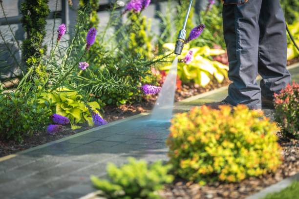Best Pool Deck Cleaning in Scarsdale, NY